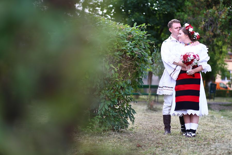 Photographe de mariage Cezar Buliga (cezarbuliga). Photo du 15 février 2018