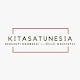 Download Kitasatunesia - Portal Berita Indonesia For PC Windows and Mac