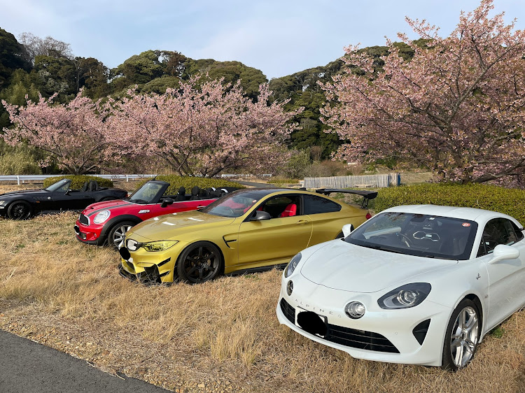 M4 クーペの3月13日・河津桜撮影会に関するカスタム事例の投稿画像8枚目