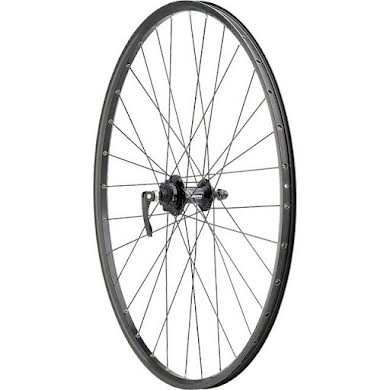 Quality Wheels Value Double Wall Series Disc Front Wheel alternate image 0