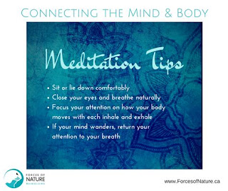 Mind-Body Connection in meditation mindful