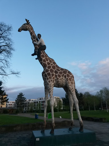 Mann auf Giraffe