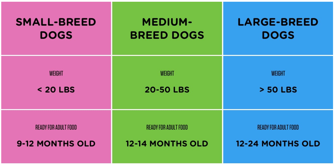 how long do puppies have diarrhea after food change