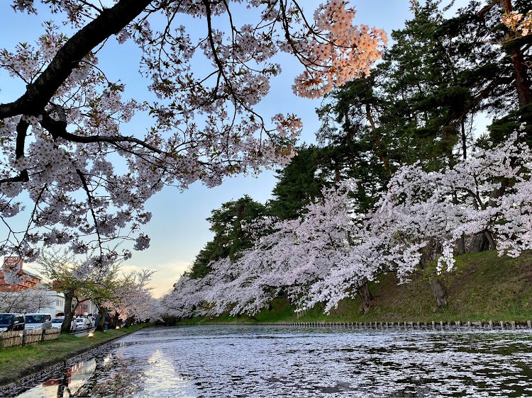 ステップワゴンスパーダのさくらまつり・写真が上手くなりたい・東京・埼玉に関するカスタム事例の投稿画像2枚目