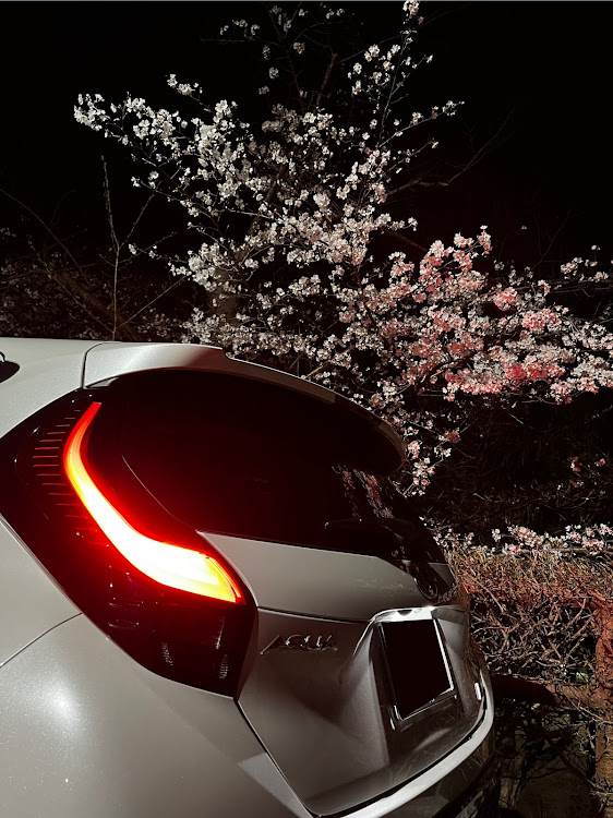 アクアの桜×愛車・夜桜撮影・アクアGRスポーツに関するカスタム事例の投稿画像2枚目