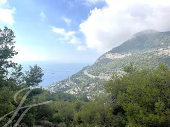 villa à Roquebrune-Cap-Martin (06)