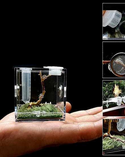 1set Spider Ant Insect Feeding Box Breathable Terrarium T... - 2