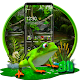 Download 3d rain frog For PC Windows and Mac 1.1.2