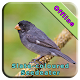 Download Slate-Coloured Seedeater For PC Windows and Mac 1.0