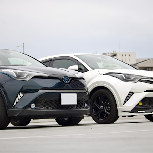 C-HR ZYX10