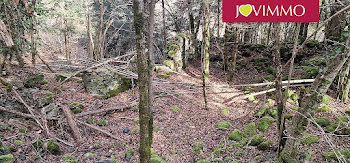 terrain à Bagneres-de-luchon (31)