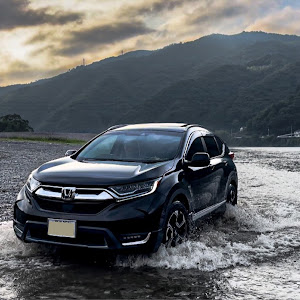 CR-V RW2