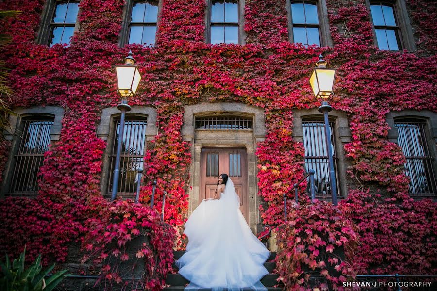 Photographe de mariage Shevan J (shevanj). Photo du 10 octobre 2019