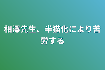 相澤先生、半猫化により苦労する