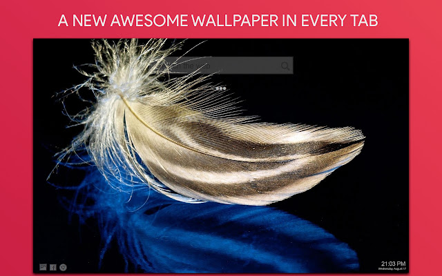 Feather Wallpaper HD Custom New Tab