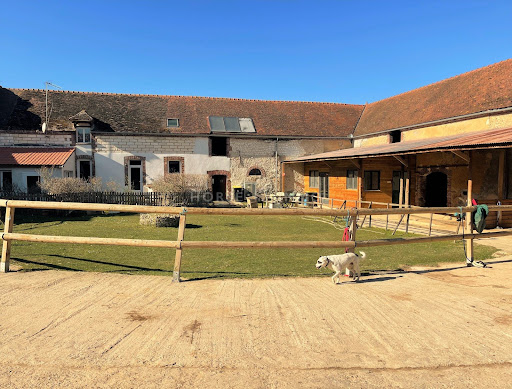 House with garden 1