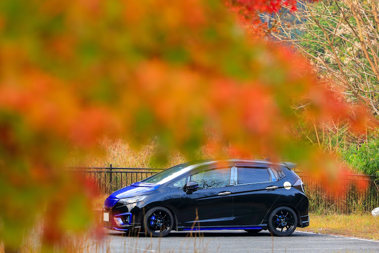 フィットの写活の秋・紅葉・紅葉と愛車・11月もよろしくお願いしますに関するカスタム事例の投稿画像3枚目