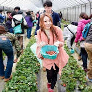 莓圃休閒農園 餐廳