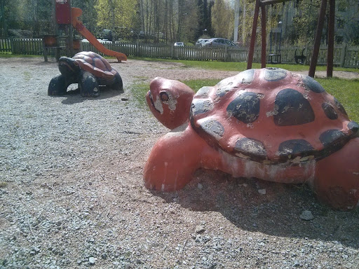 Two indignant turtles at the Rauhaniemi park