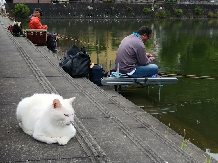 AR-GTさんが投稿した釣り・釣りドライブに関するカスタム事例の投稿画像3枚目