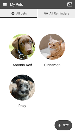 Screenshot Lowell Animal Hospital