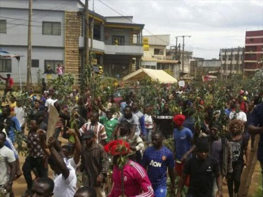 Many in Cameroon's English-speaking minority have protested against discrimination. /AGENCIES