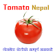 Download Tomato Nepal For PC Windows and Mac