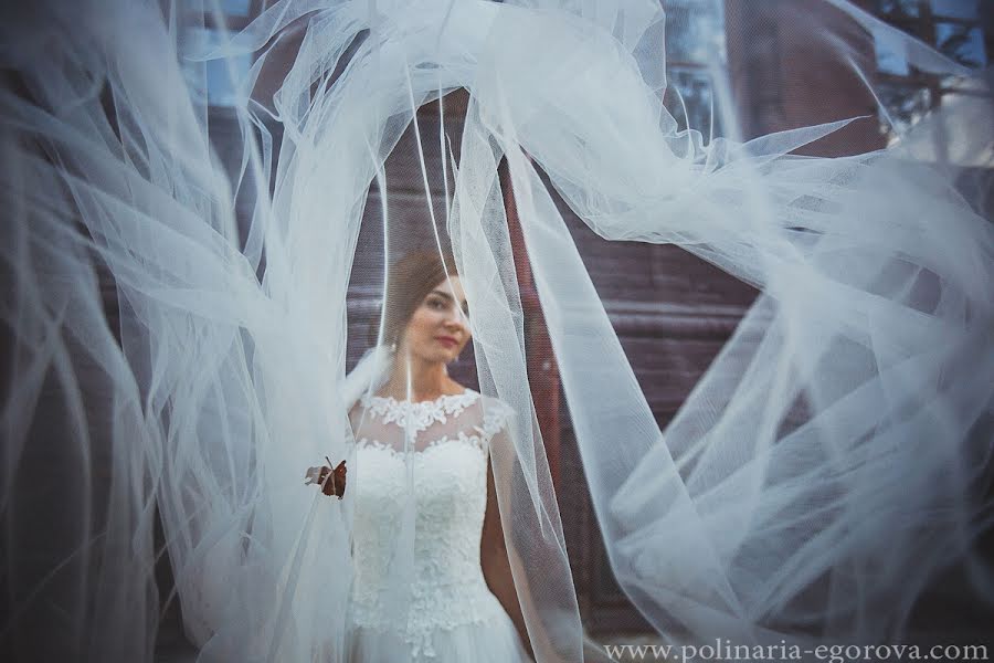 Fotografo di matrimoni Polina Egorova (polinariaegorova). Foto del 22 novembre 2015