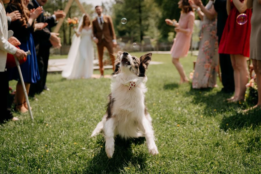 Fotografo di matrimoni Marie Veselá (mayvesela). Foto del 5 gennaio