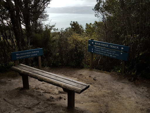 Rest Stop With A View