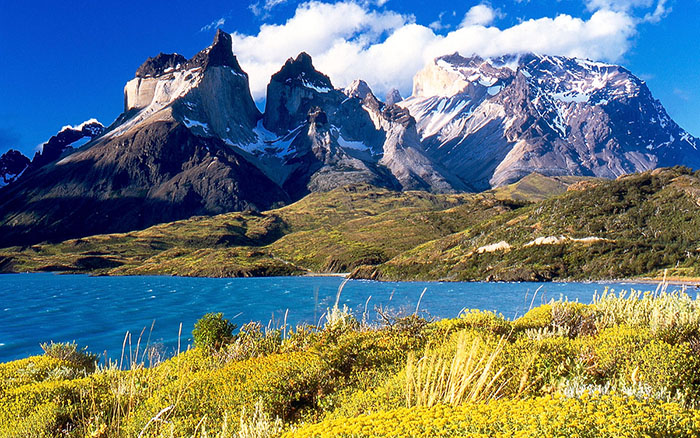 Khám phá tour du lịch Chile - Khung cảnh rừng ôn đới đặc trưng tại Công viên quốc gia Torres del Paine