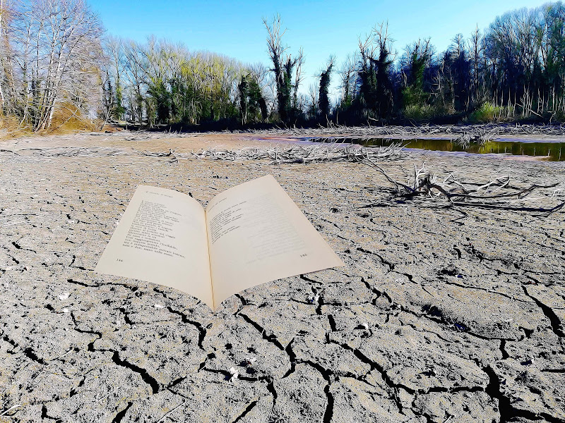 Un libro per combattere l'aridità. di Daimon