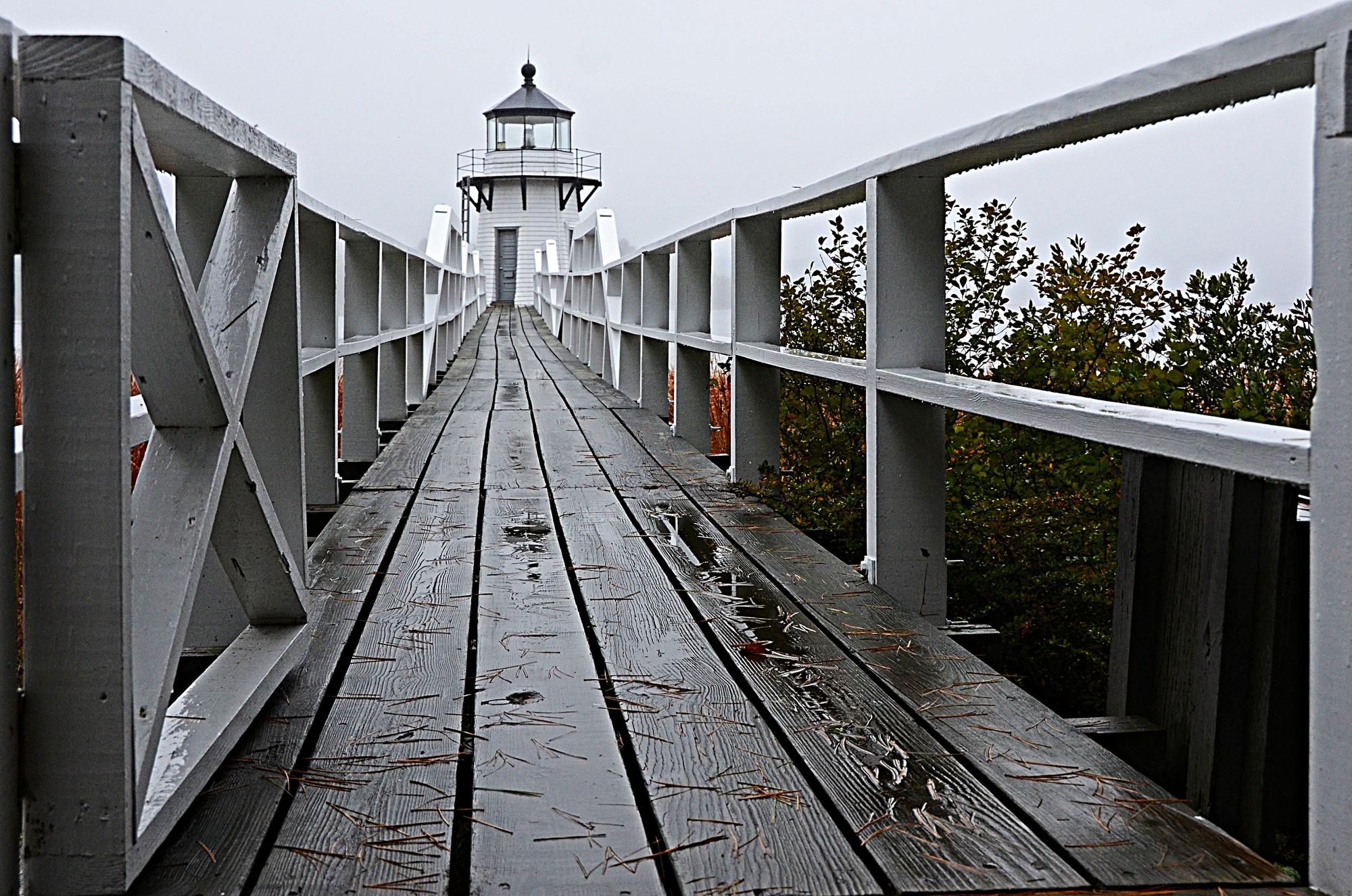 Doubling Point Lighthouse: il nostro faro di utente cancellato