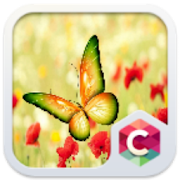 Beautiful Butterfly Theme 4.1.1 Icon