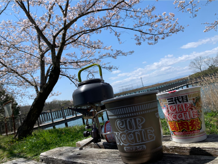 ミニクーパーSのイルカ池クラブ・じょんくーぱーわーくす・花見らすとすぱーと・春休みは終わらない・にゃあ桜これくしょんに関するカスタム事例の投稿画像10枚目