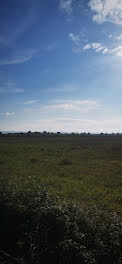 terrain à Rieux-Minervois (11)