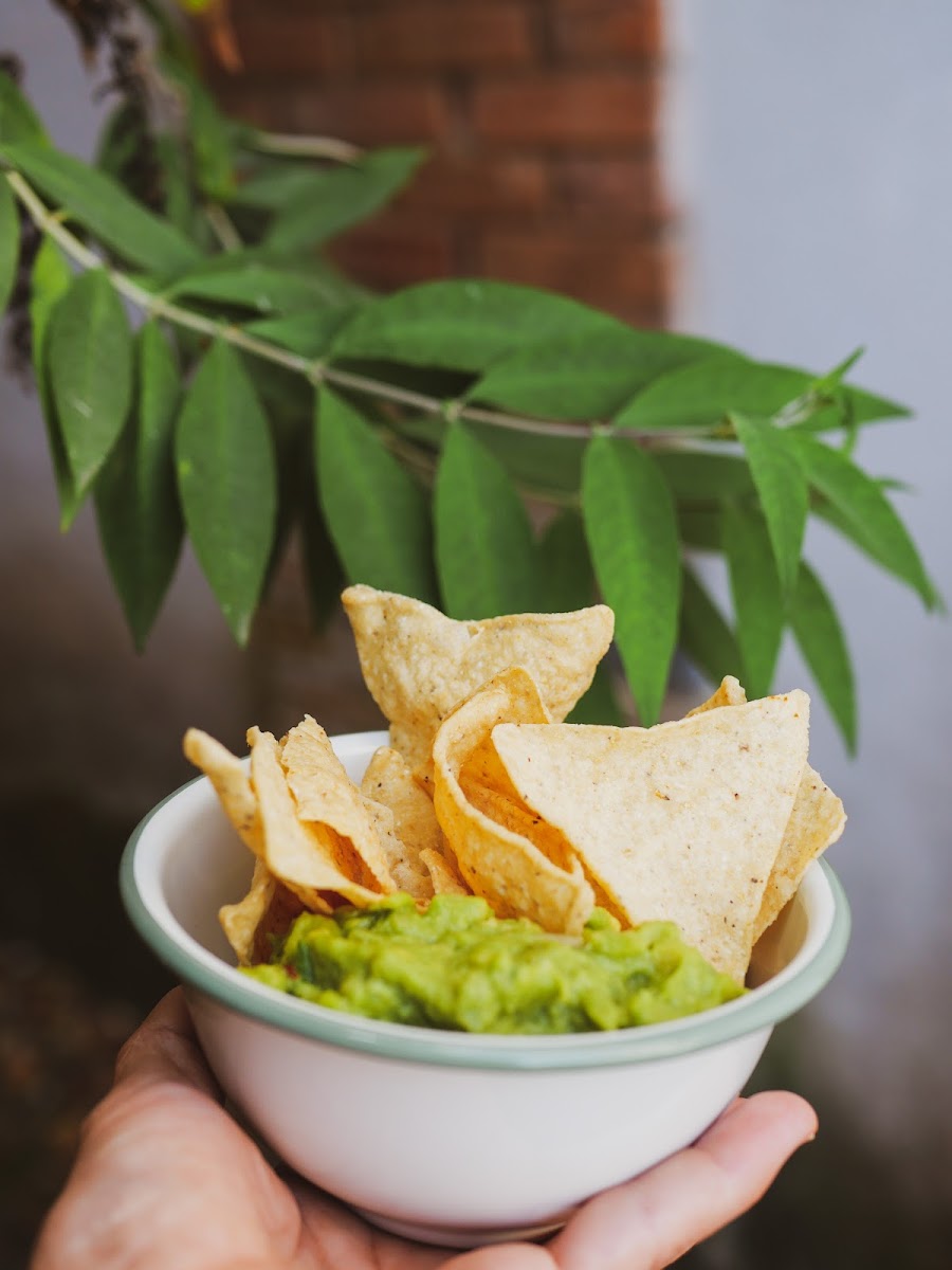 Corn Tortilla Chips