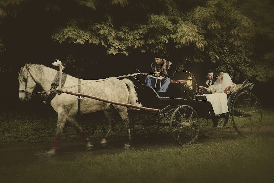 Vestuvių fotografas Aleksandr Morozov (msvsanjok2). Nuotrauka 2013 balandžio 2