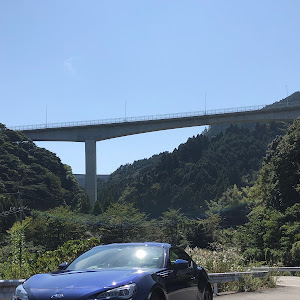 BRZ ZC6