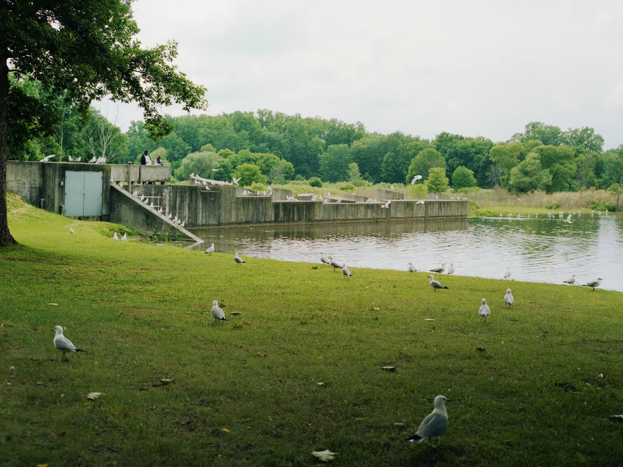 La rivière Flint