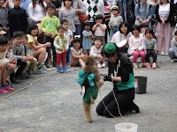 大道芸猿回し