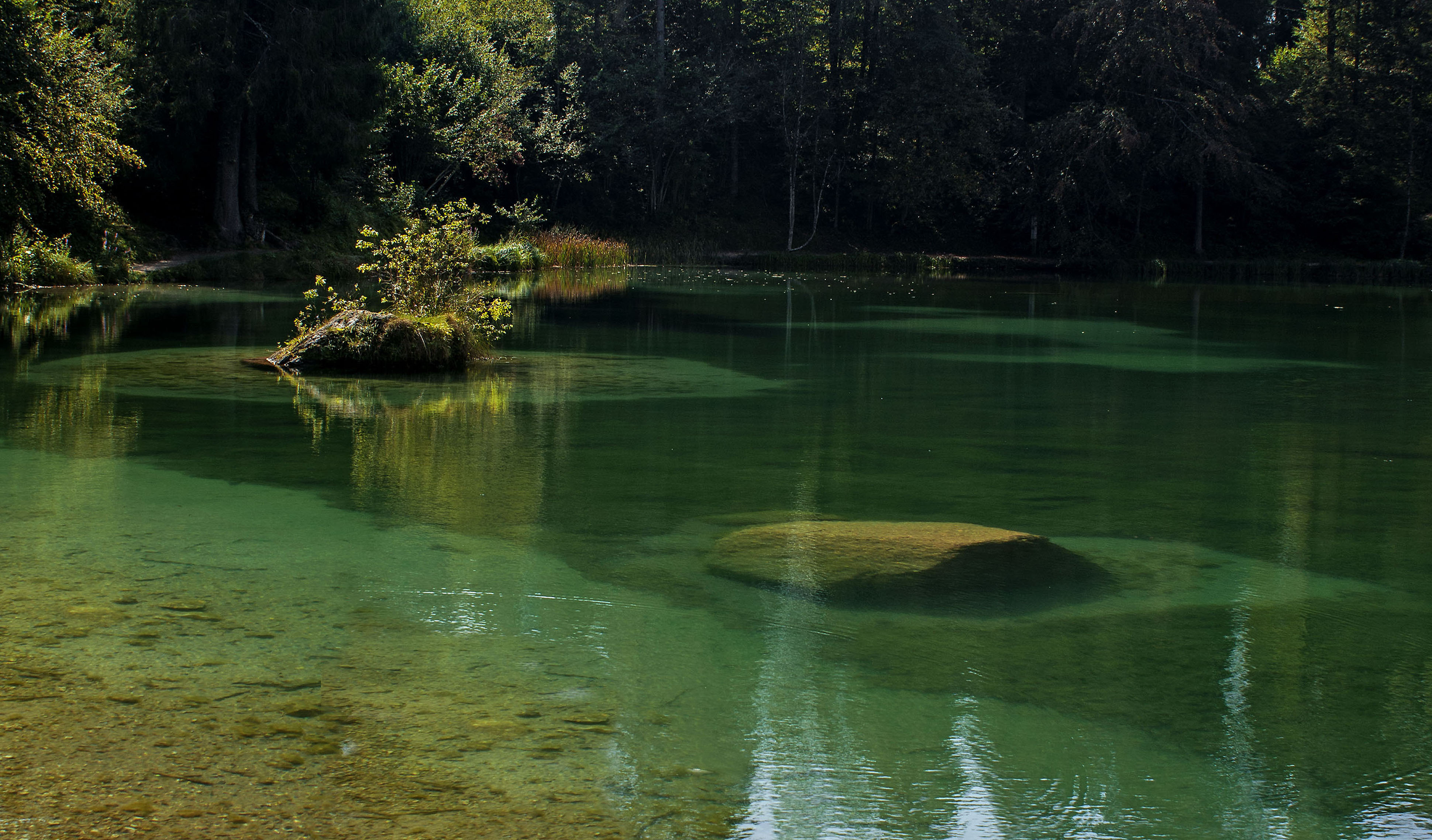 Verde acqua di mariarosa-bc