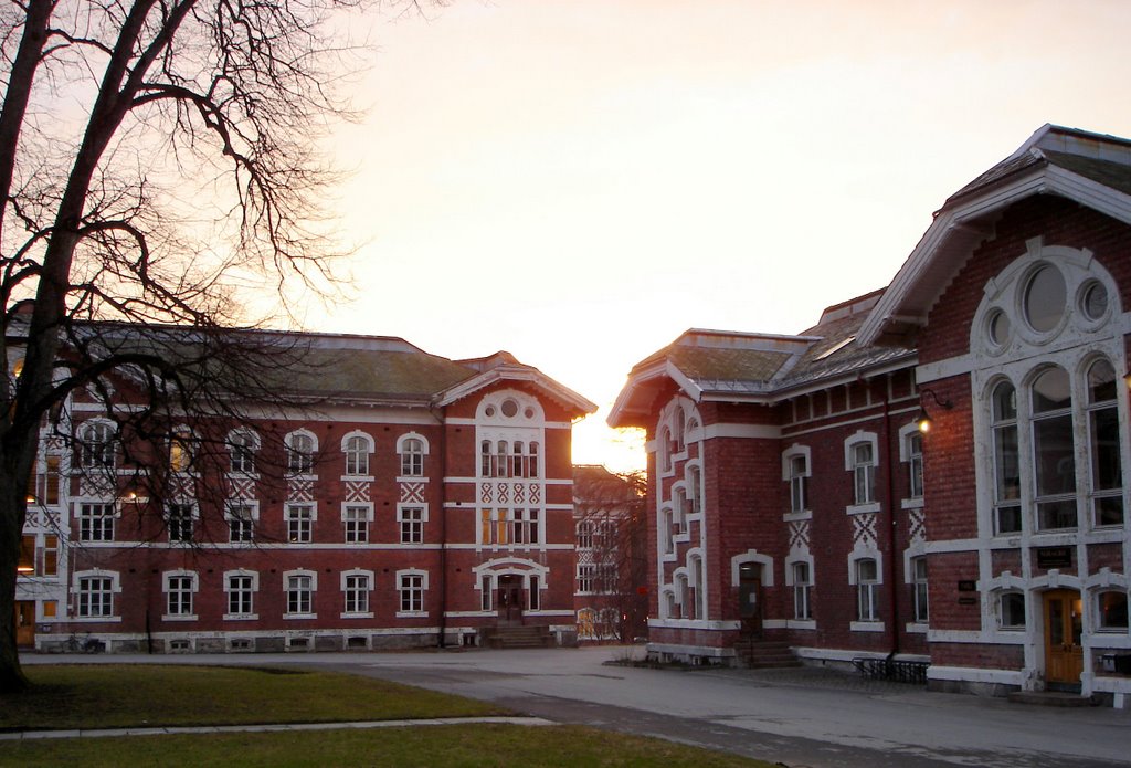 Norwegian University of Life Sciences (NMBU)