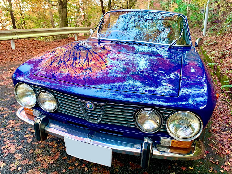 ジュリアの紅葉🍁ドライブ・モミジに囲まれて🍁🍁🍁・鰻さん、久しぶり〜😘・ベーグル🥯・アルファロメオに関するカスタム事例の投稿画像1枚目