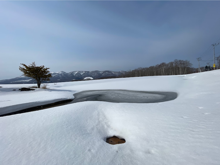 の投稿画像2枚目