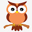 Owl Wallpaper HD New Tab Themes