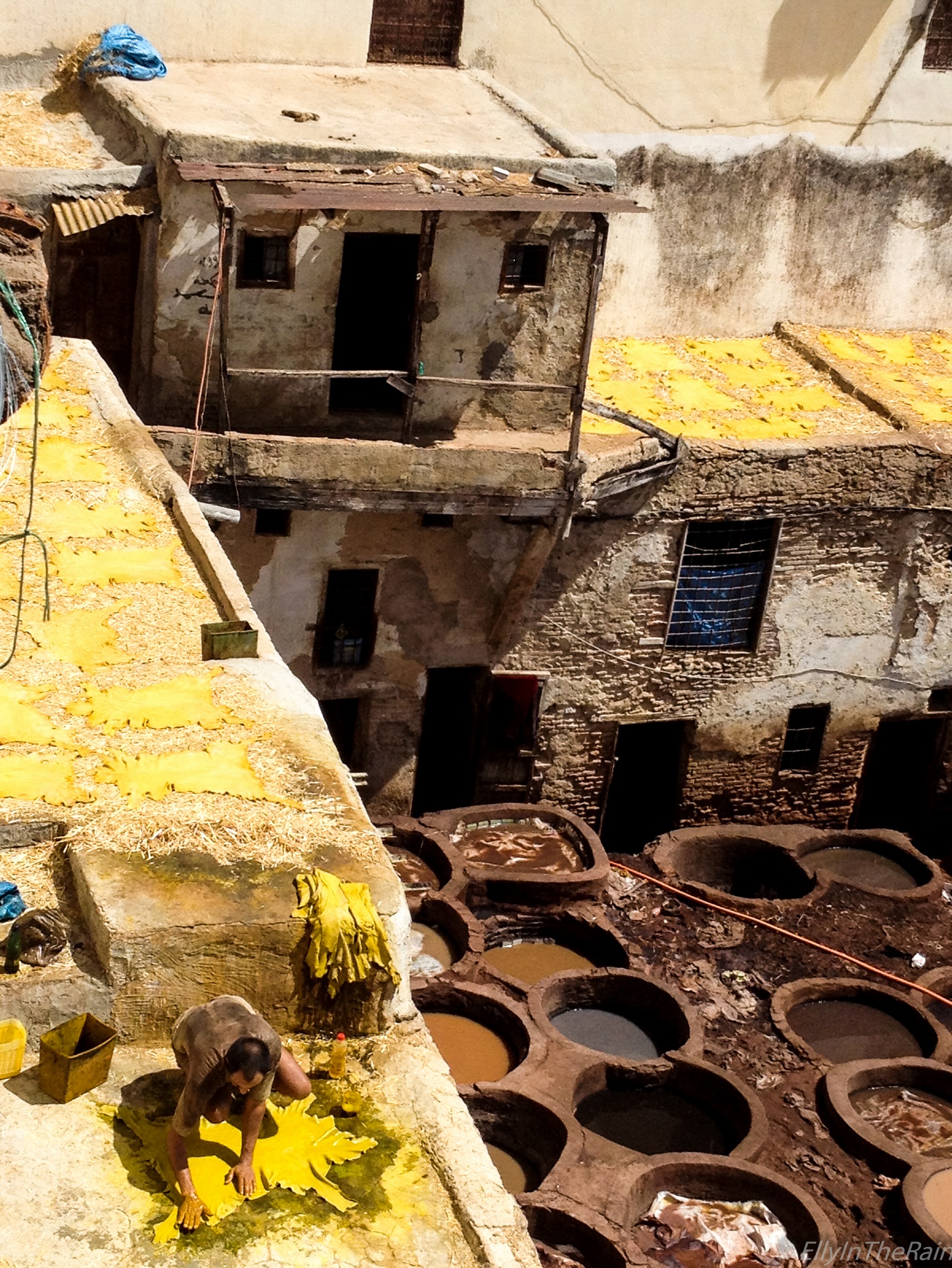 Il giallo nelle vene di ellyintherain