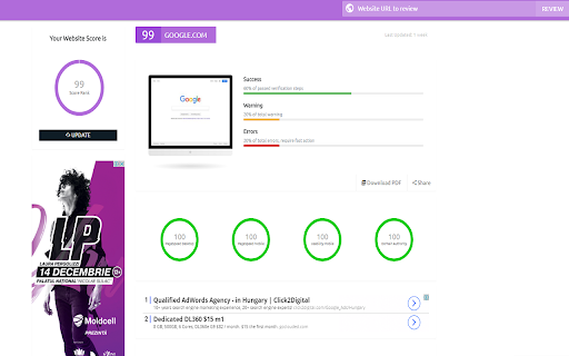 RankBio - SEO & Website Analysis