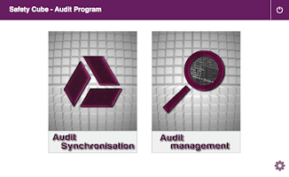 Audit Cube Screenshot