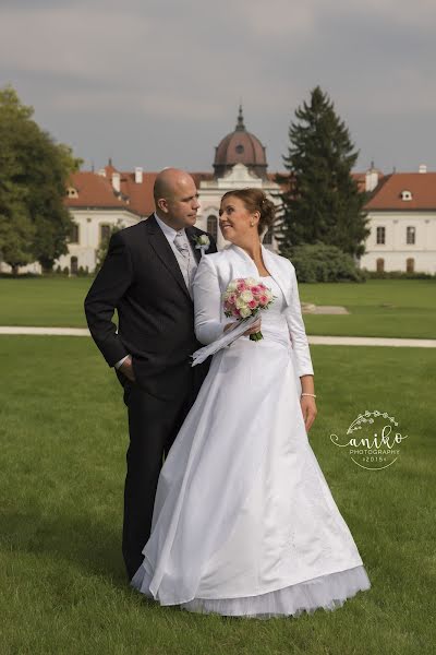 Svatební fotograf Aniko Pusztai (anikophoto). Fotografie z 29.března 2019